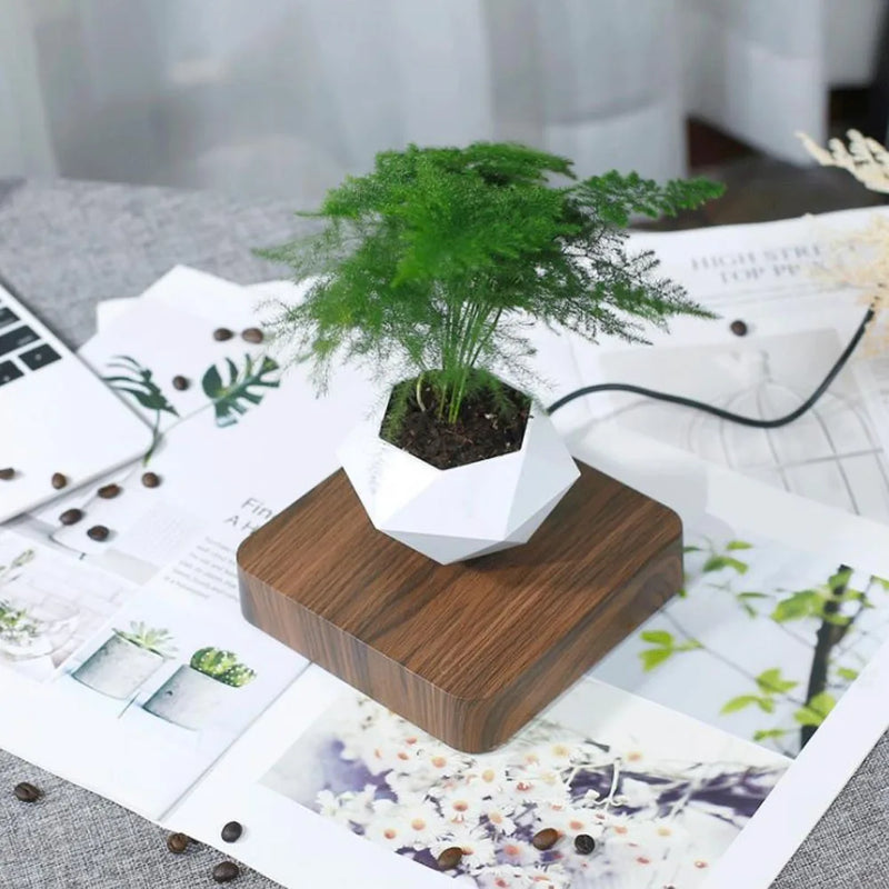 Pote De Bonsai De Ar com Levitação Magnética, Flor De Suspensão,  Vaso Flutuante com Rotação, Decoração De Mesa