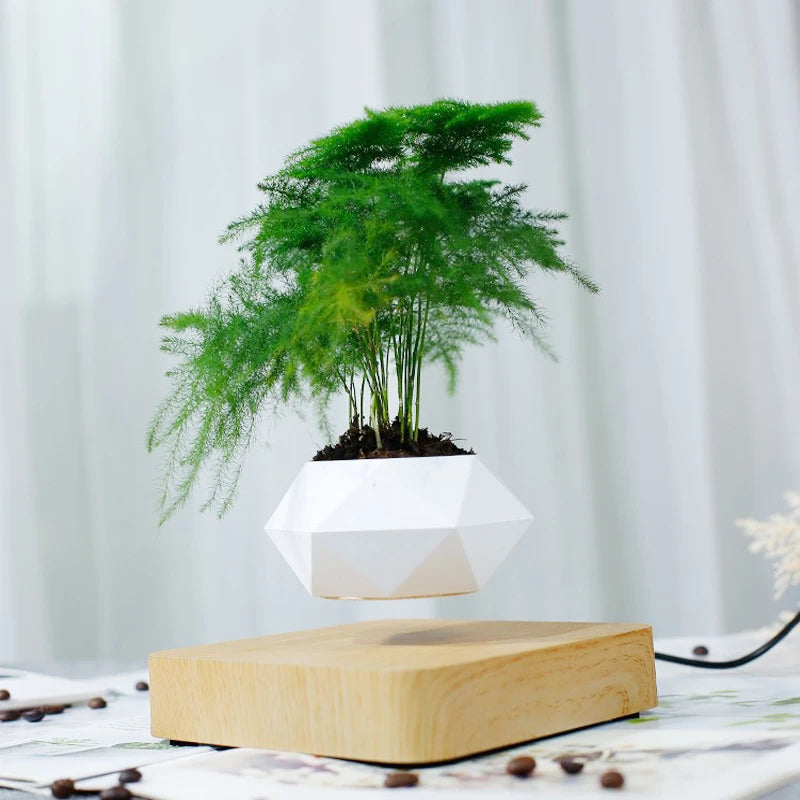 Pote De Bonsai De Ar com Levitação Magnética, Flor De Suspensão,  Vaso Flutuante com Rotação, Decoração De Mesa