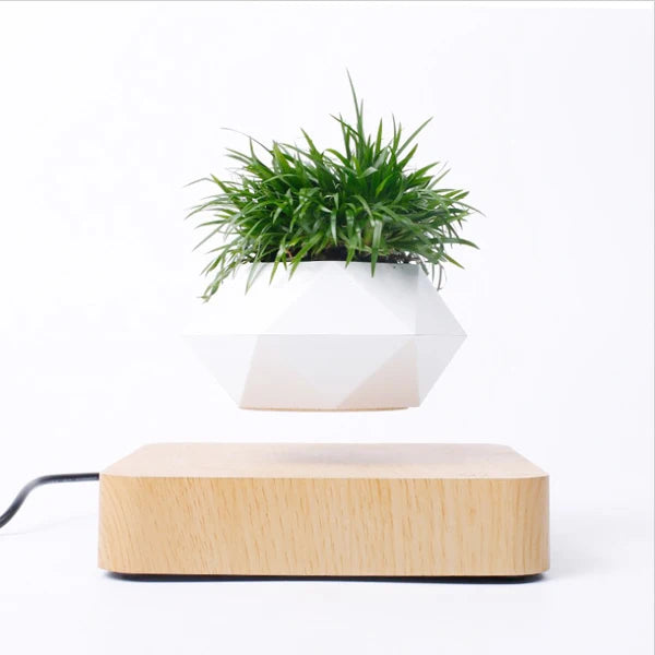 Pote De Bonsai De Ar com Levitação Magnética, Flor De Suspensão,  Vaso Flutuante com Rotação, Decoração De Mesa