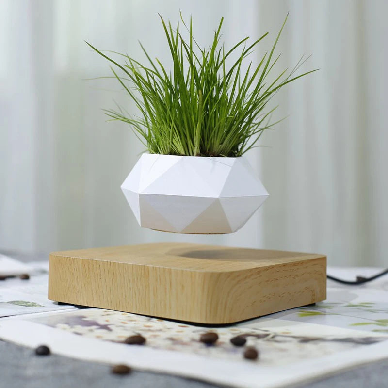 Pote De Bonsai De Ar com Levitação Magnética, Flor De Suspensão,  Vaso Flutuante com Rotação, Decoração De Mesa