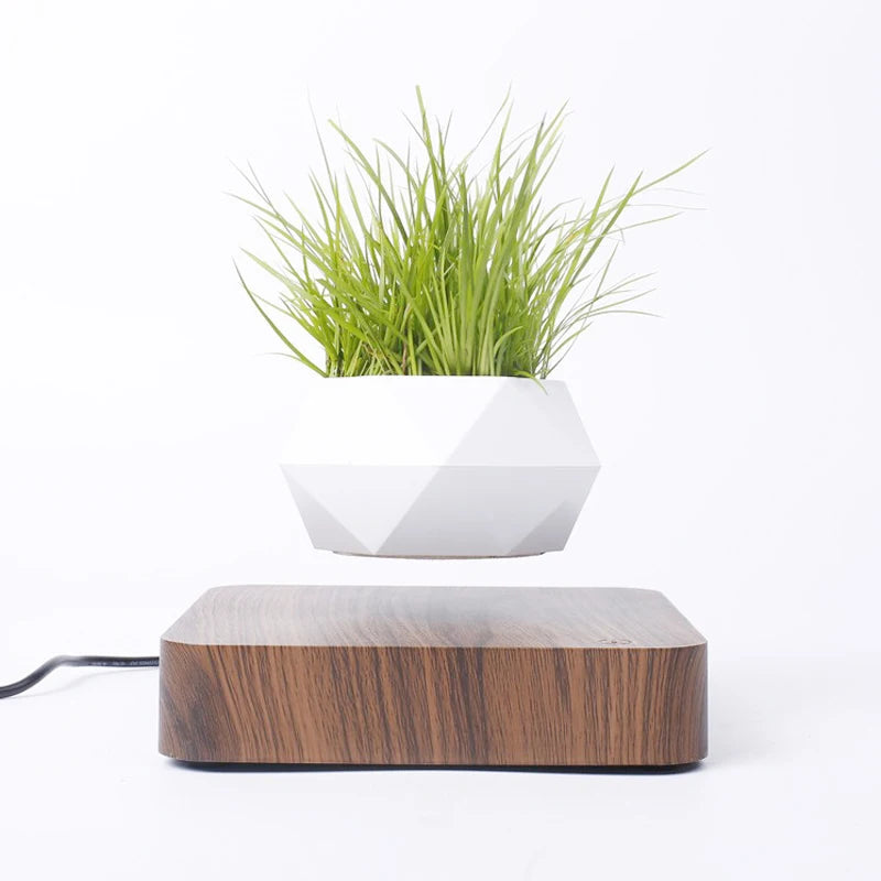 Pote De Bonsai De Ar com Levitação Magnética, Flor De Suspensão,  Vaso Flutuante com Rotação, Decoração De Mesa